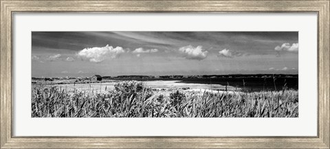 Framed Shore Panorama III Print