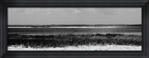 Framed Shore Panorama IV Print