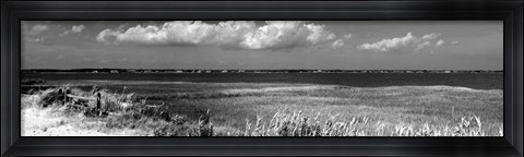 Framed Shore Panorama VII Print