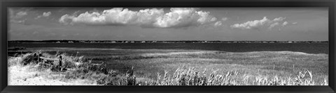 Framed Shore Panorama VII Print