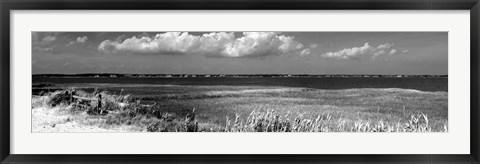 Framed Shore Panorama VII Print