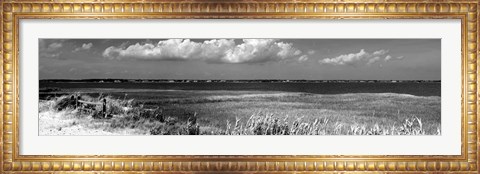 Framed Shore Panorama VII Print