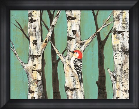 Framed Birch Grove on Teal II Print