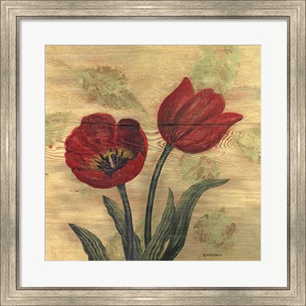 Framed Tulip on Wood Print