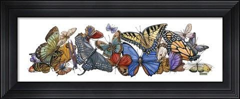 Framed Wings of Splendor I Print