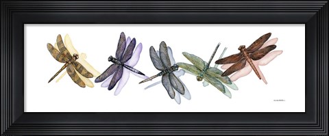 Framed Wings of Splendor II Print