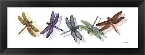 Framed Wings of Splendor II Print