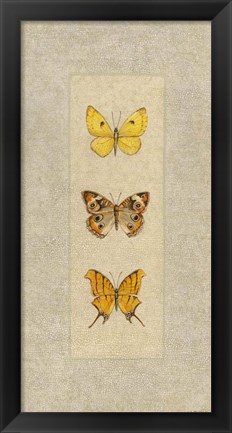 Framed Butterfly Trio I Print