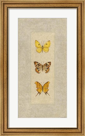 Framed Butterfly Trio I Print