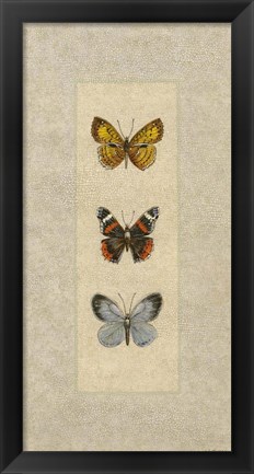 Framed Butterfly Trio II Print