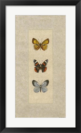 Framed Butterfly Trio II Print