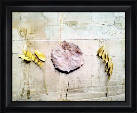 Framed Herbarium III Print