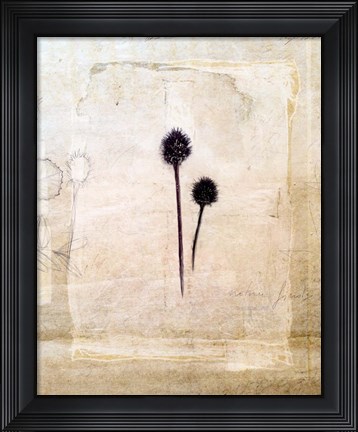 Framed Herbarium IV Print