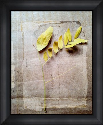 Framed Herbarium V Print