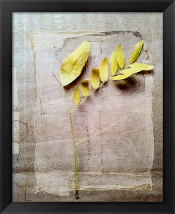 Framed Herbarium V Print
