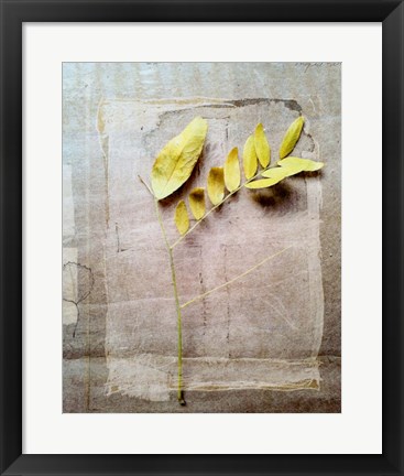 Framed Herbarium V Print