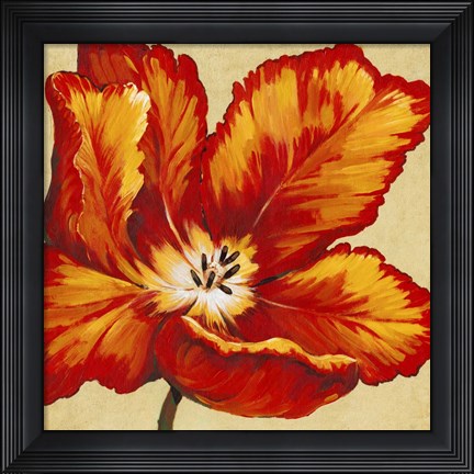 Framed Parrot Tulip I Print