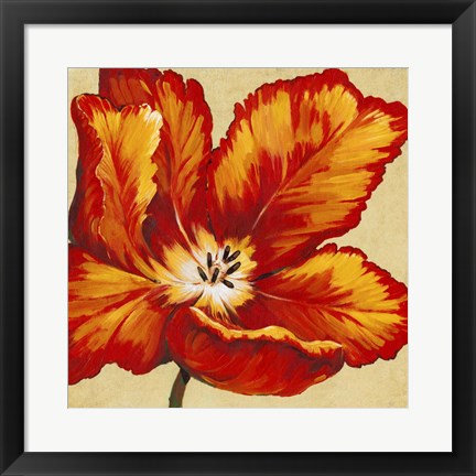 Framed Parrot Tulip I Print