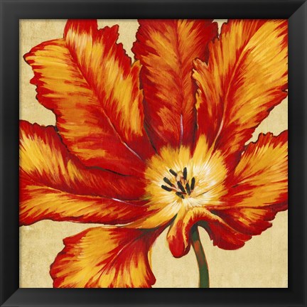 Framed Parrot Tulip II Print