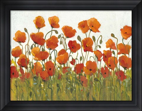 Framed Rows of Poppies I Print