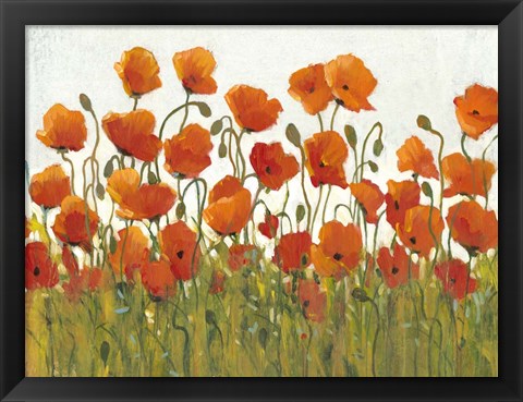 Framed Rows of Poppies I Print