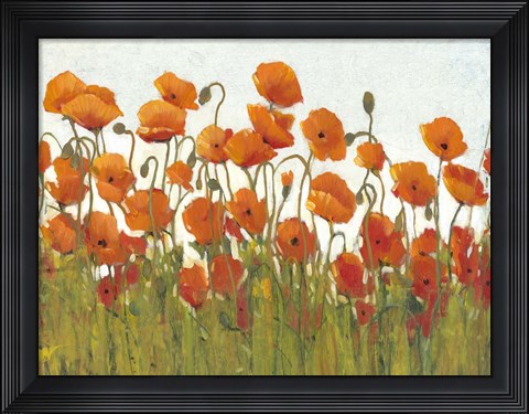 Framed Rows of Poppies II Print