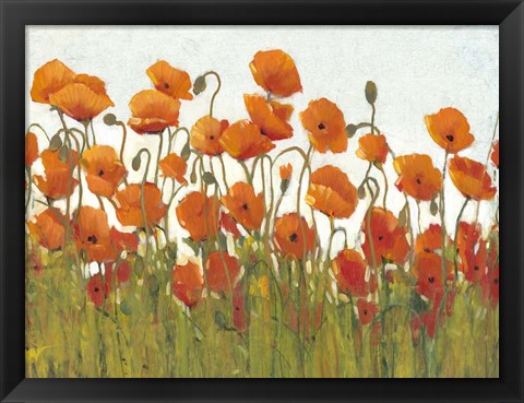 Framed Rows of Poppies II Print
