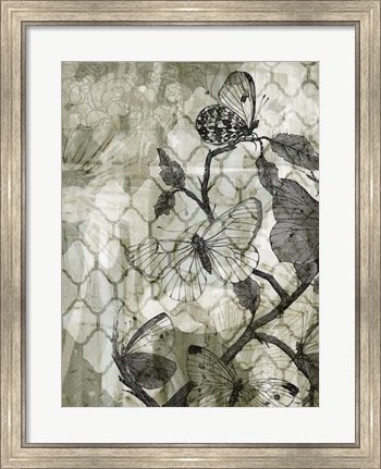 Framed Arabesque Butterflies II Print