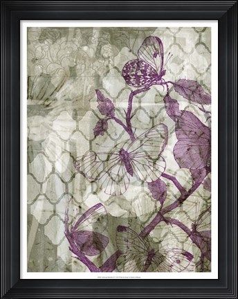 Framed Arabesque Butterflies IV Print