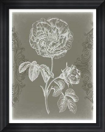 Framed Floral Relief I Print