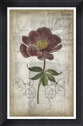 Framed French Floral I Print