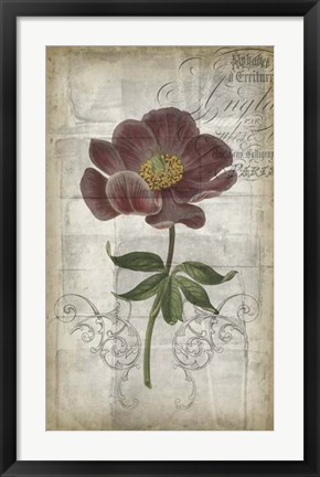 Framed French Floral I Print