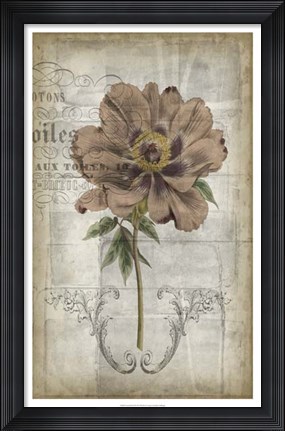 Framed French Floral II Print