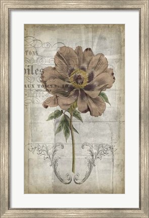Framed French Floral II Print
