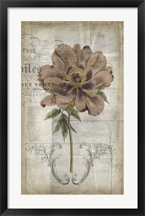 Framed French Floral II Print