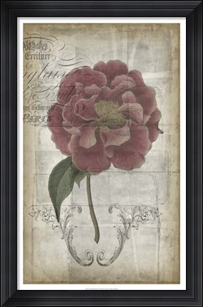 Framed French Floral III Print