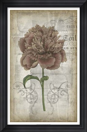 Framed French Floral IV Print