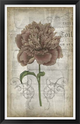 Framed French Floral IV Print