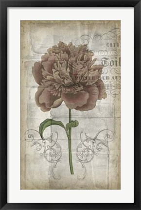 Framed French Floral IV Print