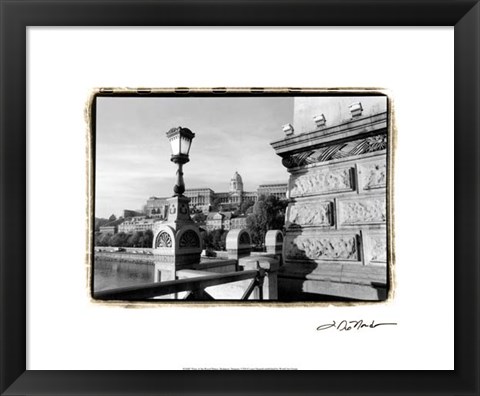 Framed View of the Royal Palace, Budapest Print