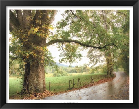 Framed Wet Path Print