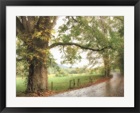 Framed Wet Path Print