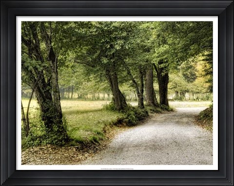Framed Path in the Country Print