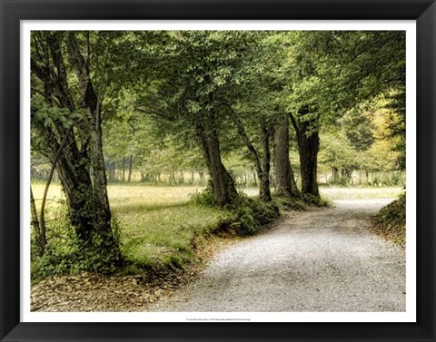 Framed Path in the Country Print