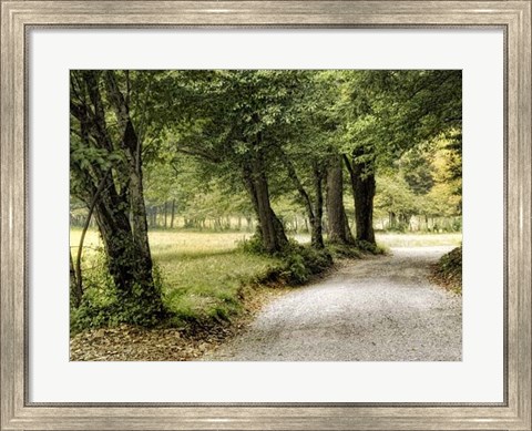 Framed Path in the Country Print