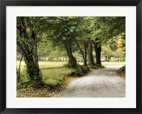 Framed Path in the Country Print