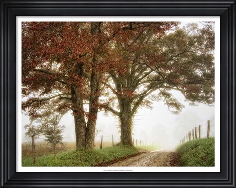 Framed Two Oaks Print