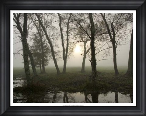 Framed Reflections of Nature Print