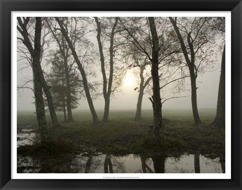 Framed Reflections of Nature Print