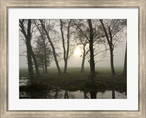 Framed Reflections of Nature Print